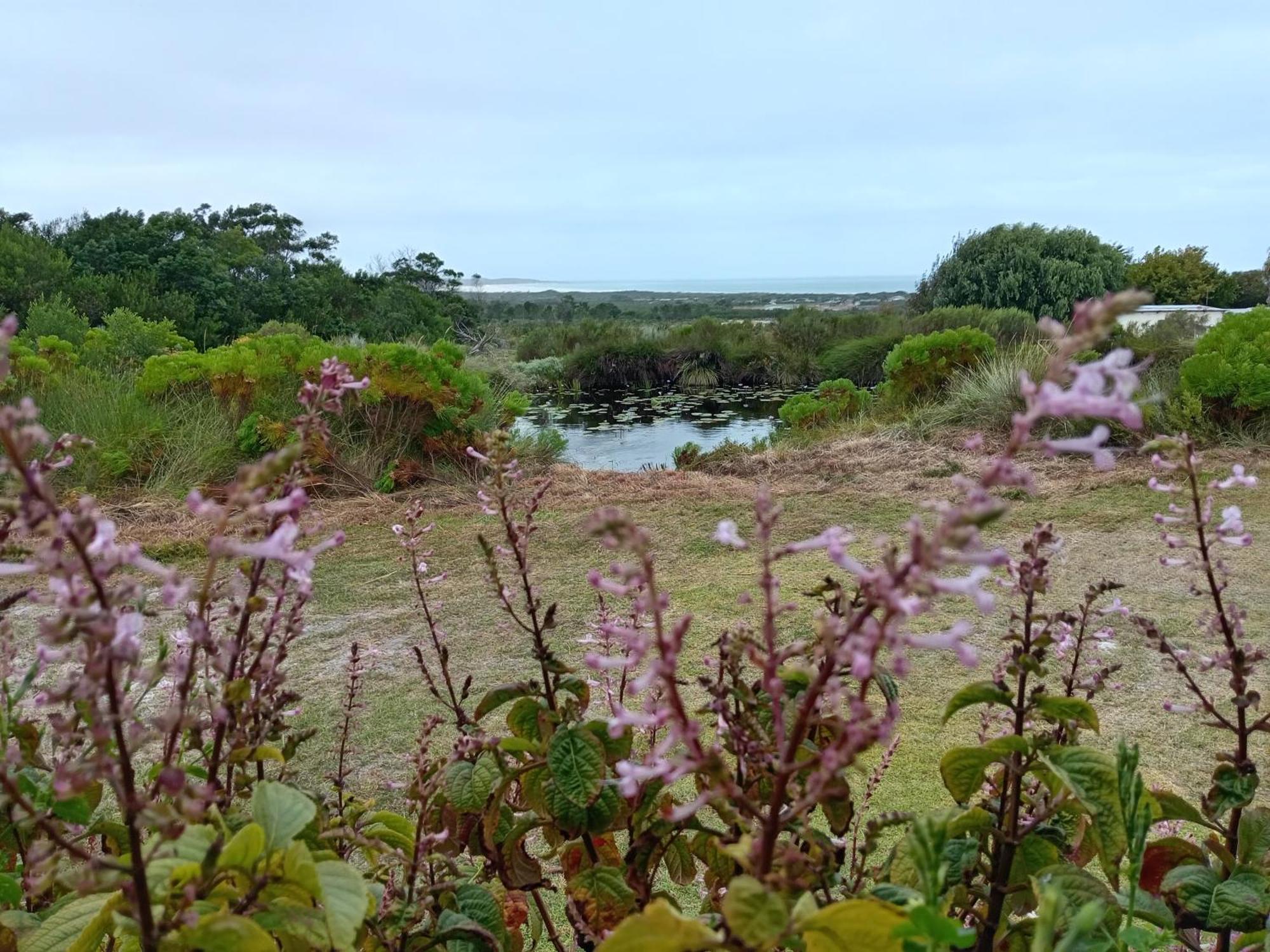 Вилла Blombos Self-Catering House Franskraalstrand Экстерьер фото